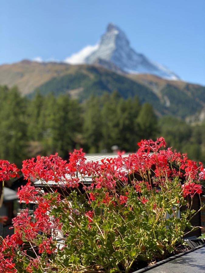 Chalet Bull Церматт Экстерьер фото